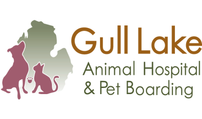 Gull Lake Animal Hospital-HeaderLogo